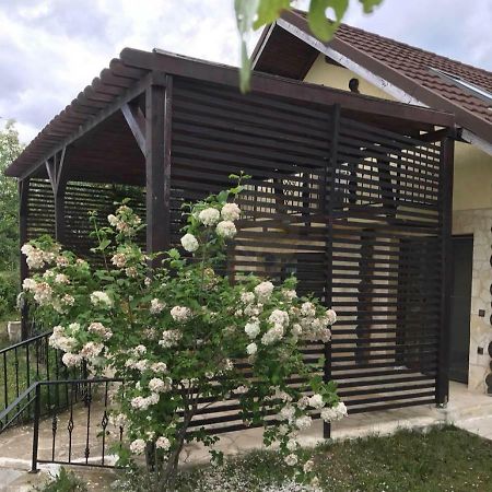 Cabana Breaza - Skyview Cottage Екстер'єр фото